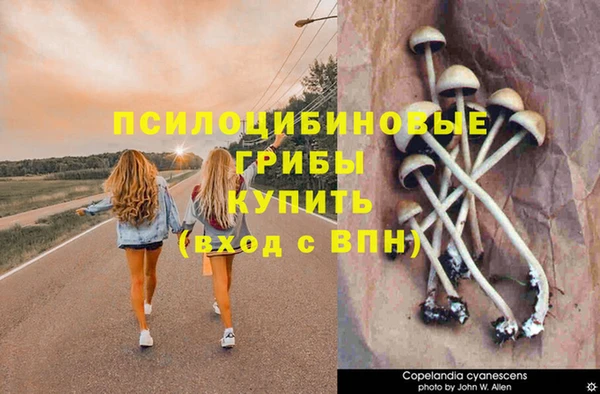 эйфоретик Новокубанск