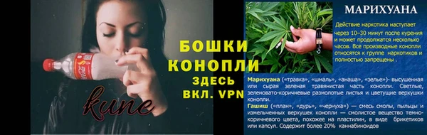 мдпв Няндома