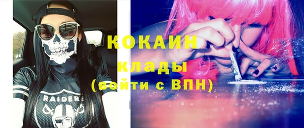 мдпв Няндома