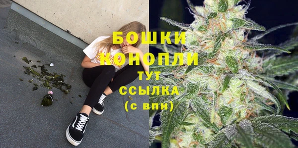 мдпв Няндома