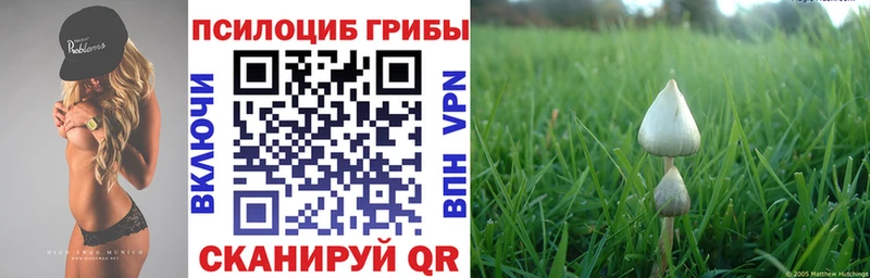 Псилоцибиновые грибы GOLDEN TEACHER  купить   Бодайбо 